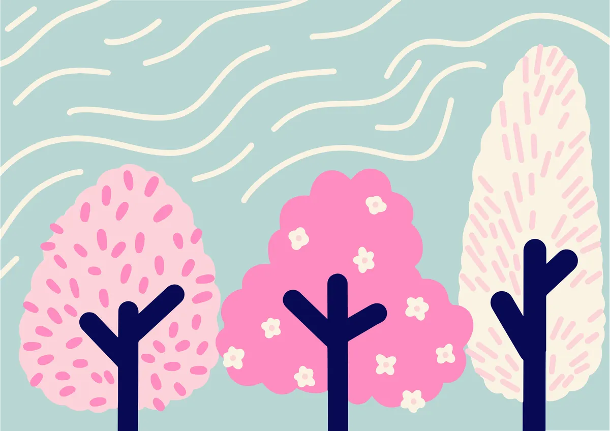 The willow tree that taught me everything