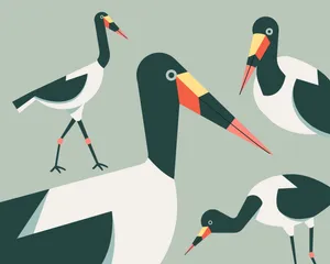 The Kingdom of the Stork.